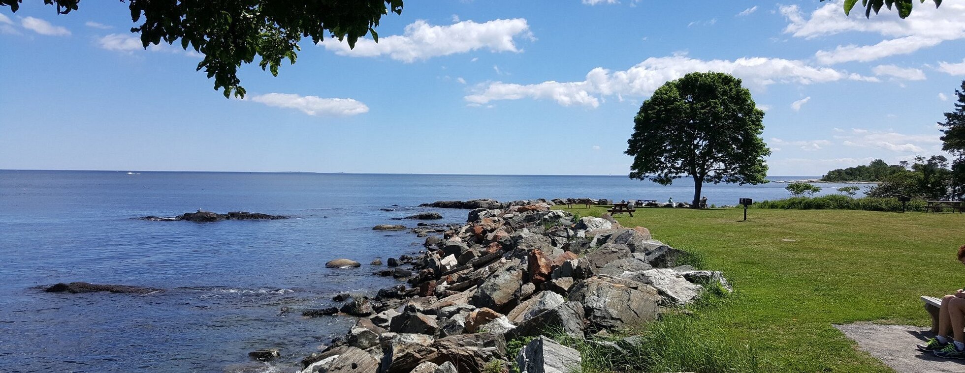 New England Pulmonary Fibrosis Community Walk 2026